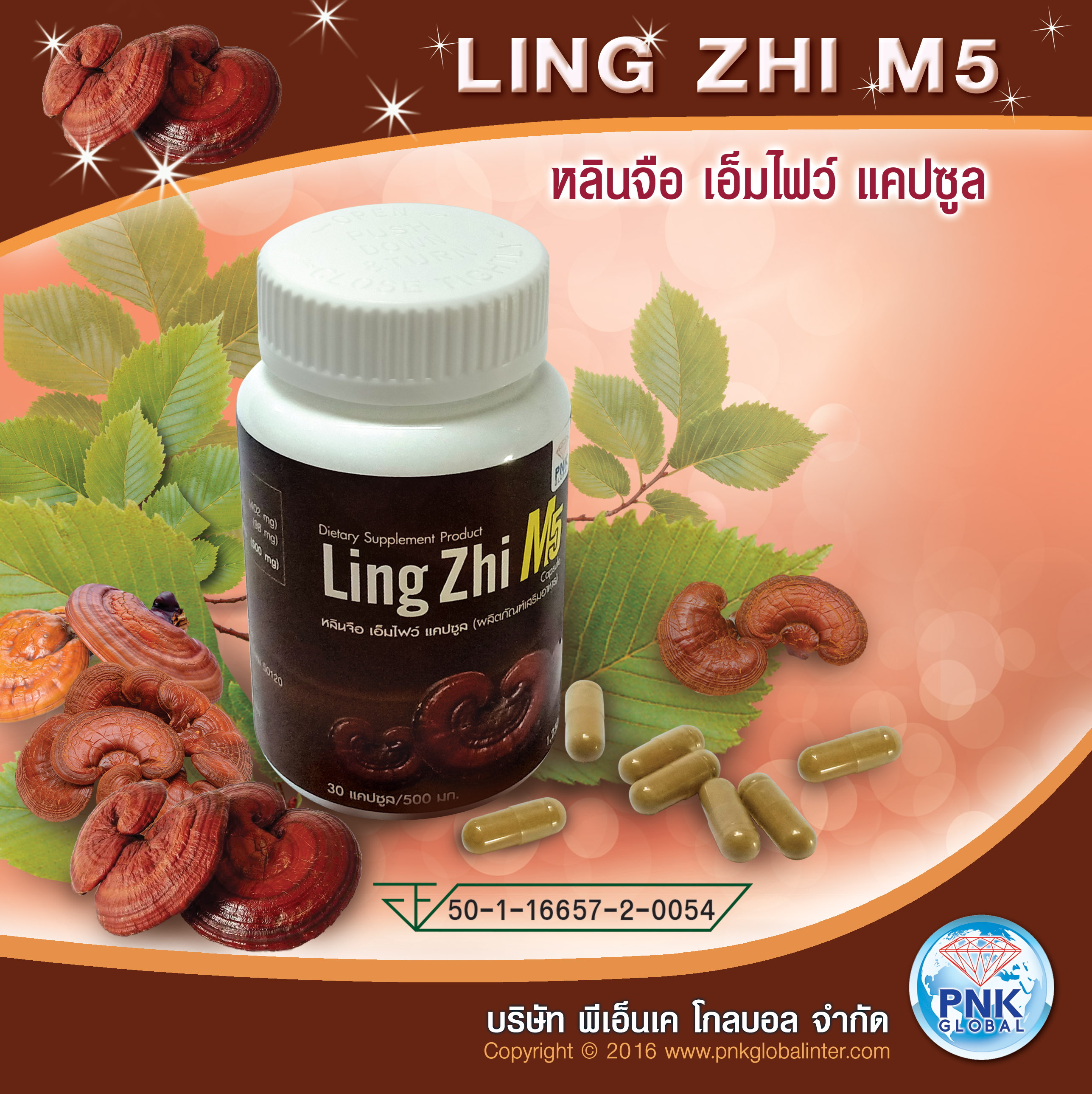 Ling Zhi One M5